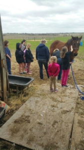 Instructor and trainees watching Alice clean horse hooves